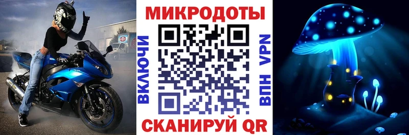 Купить  Белая Холуница  Галлюциногенные грибы Cubensis 
